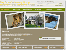 Tablet Screenshot of lakestreetvet.net